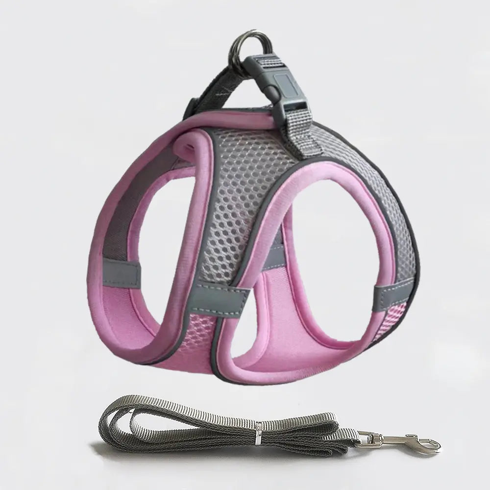 Pet Harness and Leash for Walking – Escape Proof, Reflective, & Comfortable Fit