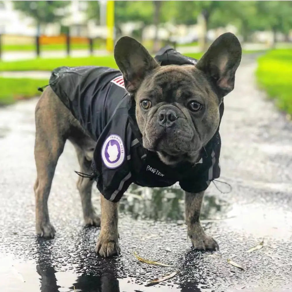 Lightweight Waterproof Dog Rain Jacket - Adjustable & Easy to Clean