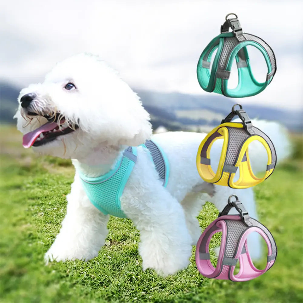 Pet Harness and Leash for Walking – Escape Proof, Reflective, & Comfortable Fit