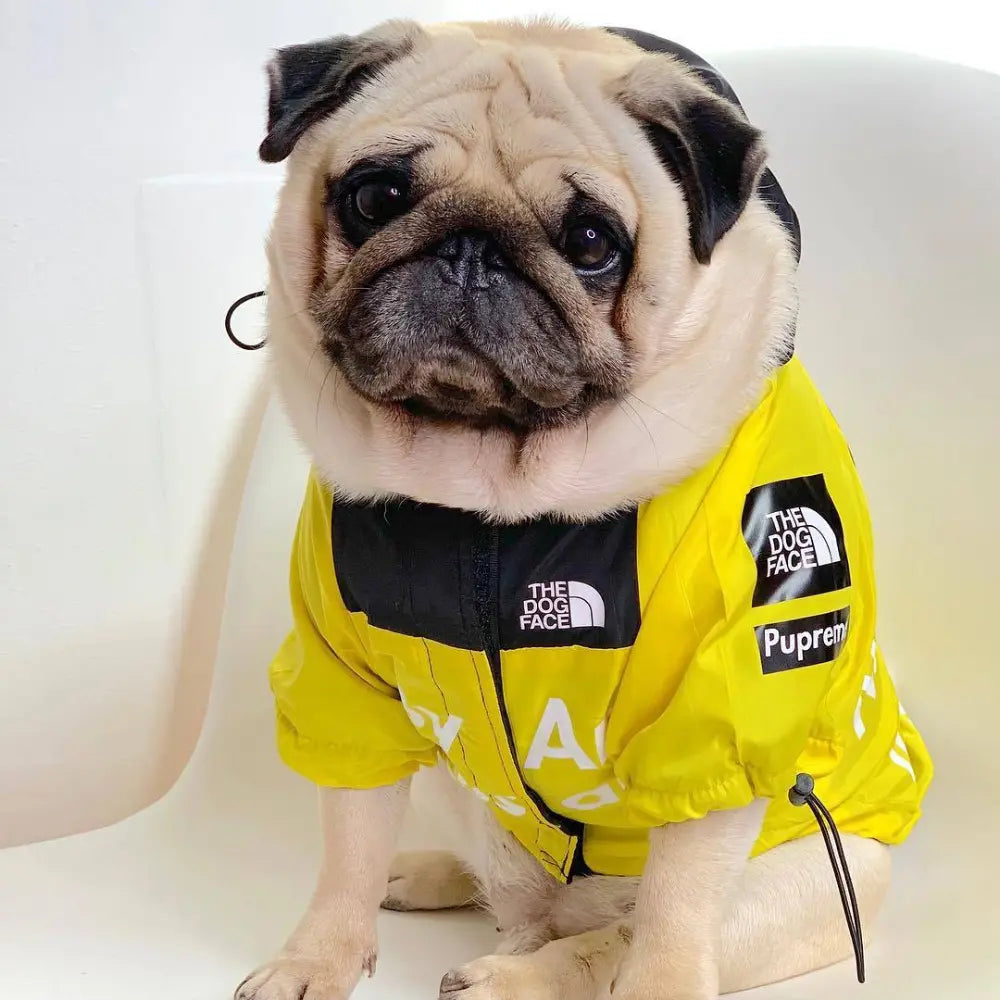 Lightweight Waterproof Dog Rain Jacket - Adjustable & Easy to Clean