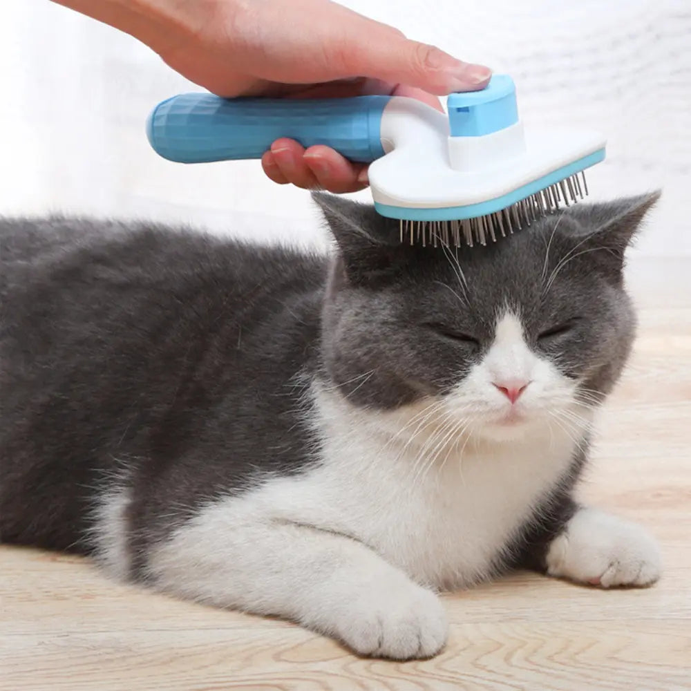 Professional Hair Removal Beauty Needle Brush for Dogs & Cats | Tangle-Free Grooming