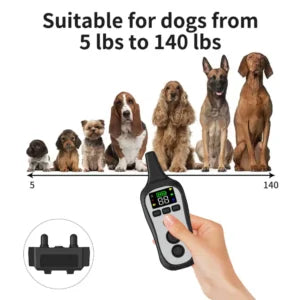 Remote Control Rechargeable Training Dog Collar – Waterproof, 1000-Foot Range