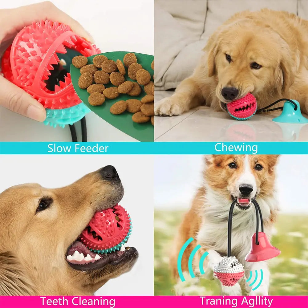 Rubber Suction Cup Dog Toy – 4-in-1 Chew & Interactive Toy