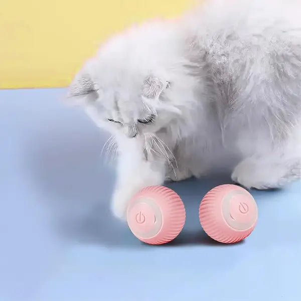 Interactive Cat Toy Ball - USB Rechargeable 360° Self-Rotating Pet Toy | Ideal for Cats & Small Dogs