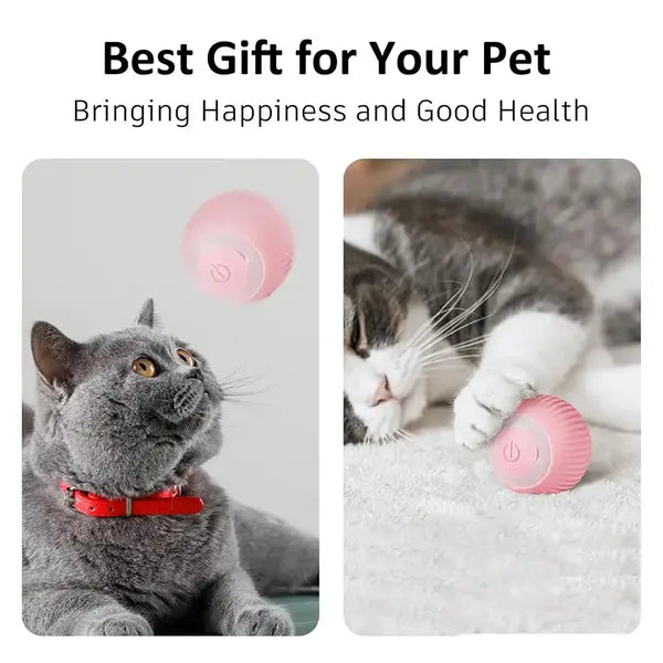 Interactive Cat Toy Ball - USB Rechargeable 360° Self-Rotating Pet Toy | Ideal for Cats & Small Dogs