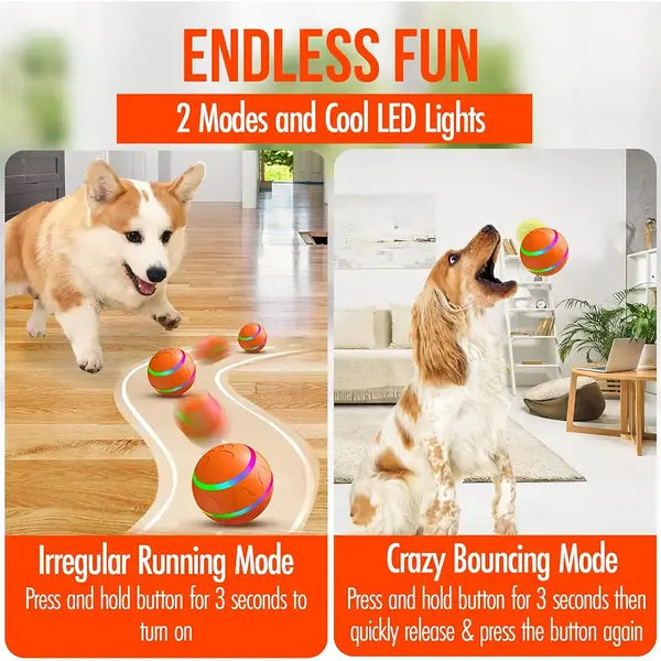 Remote Control Dog Toy Ball | LED Light-Up, Self-Rolling Ball for Dogs & Cats