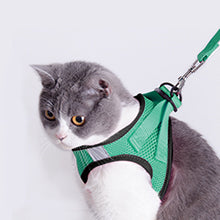 Pet Harness and Leash for Walking – Escape Proof, Reflective, & Comfortable Fit