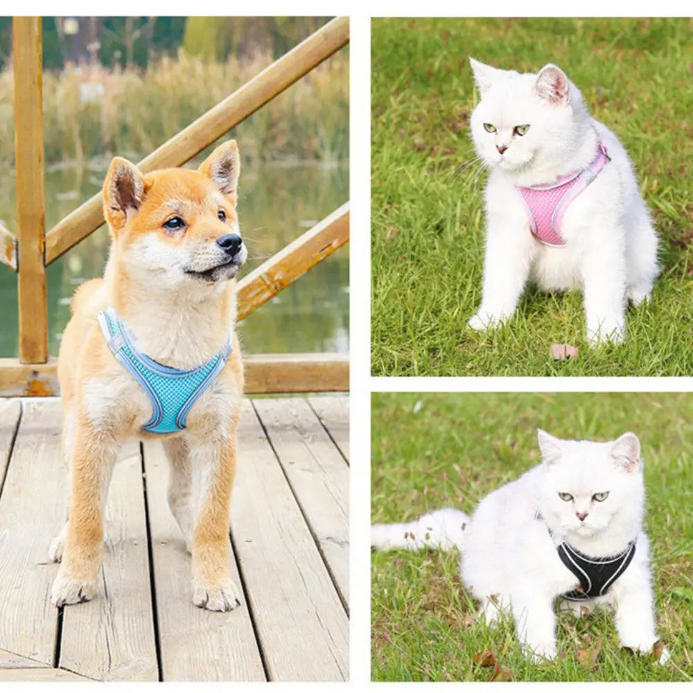 Pet Harness and Leash for Walking – Escape Proof, Reflective, & Comfortable Fit