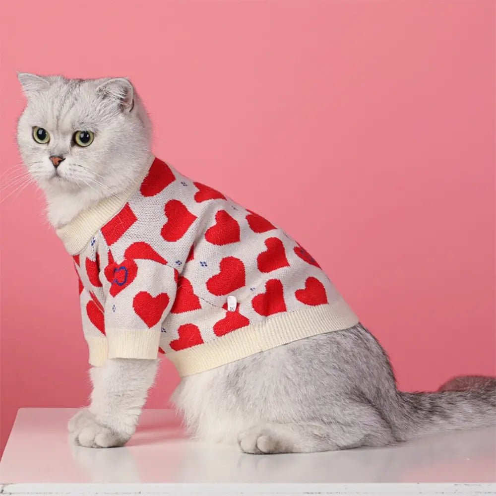 Pets Knitted Stylish Clothes | Warm, Soft & Comfortable Pet Daily Life