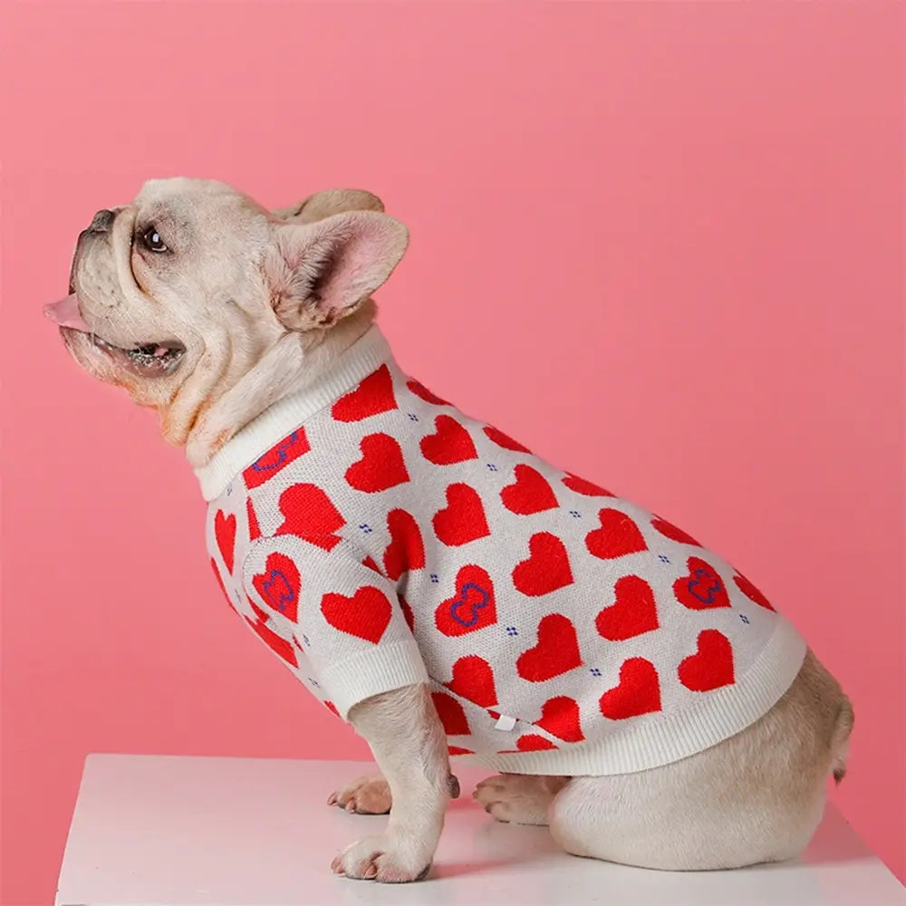 Pets Knitted Stylish Clothes | Warm, Soft & Comfortable