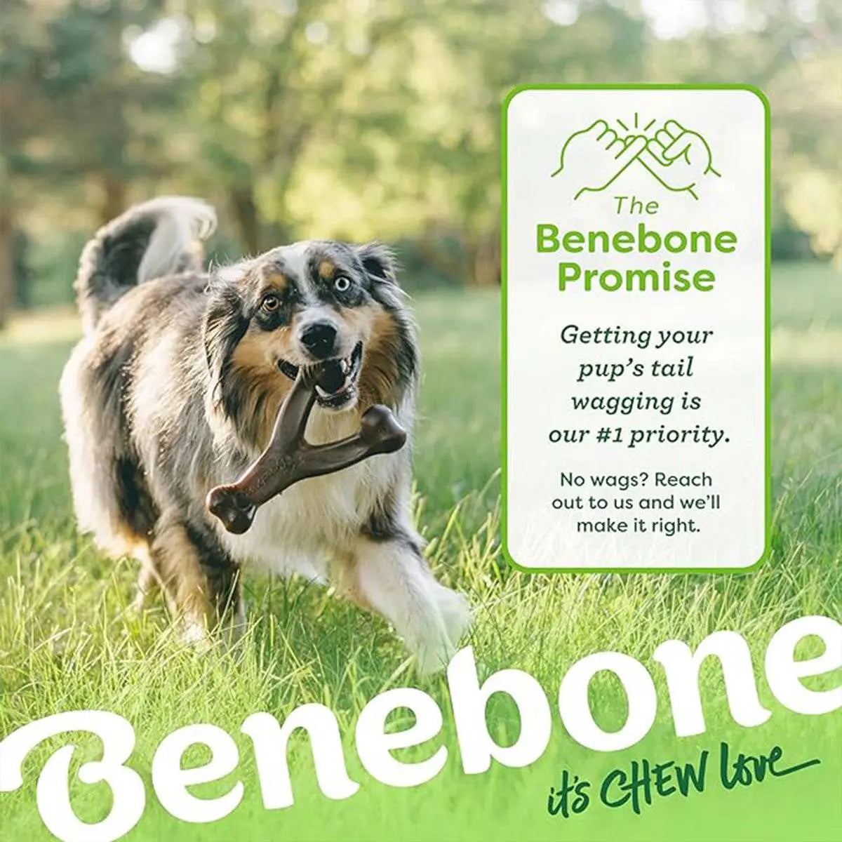 Benebone Wishbone - Indestructible Dog Chew Toy for Aggressive Chewers with Real Bacon Flavor