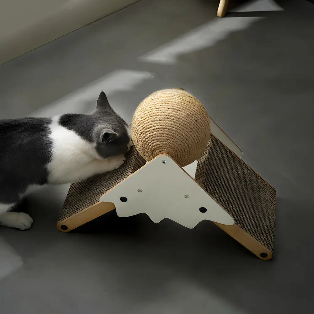 Cat Scratch Board for Indoor Play - Fun & Interactive Cat Toy