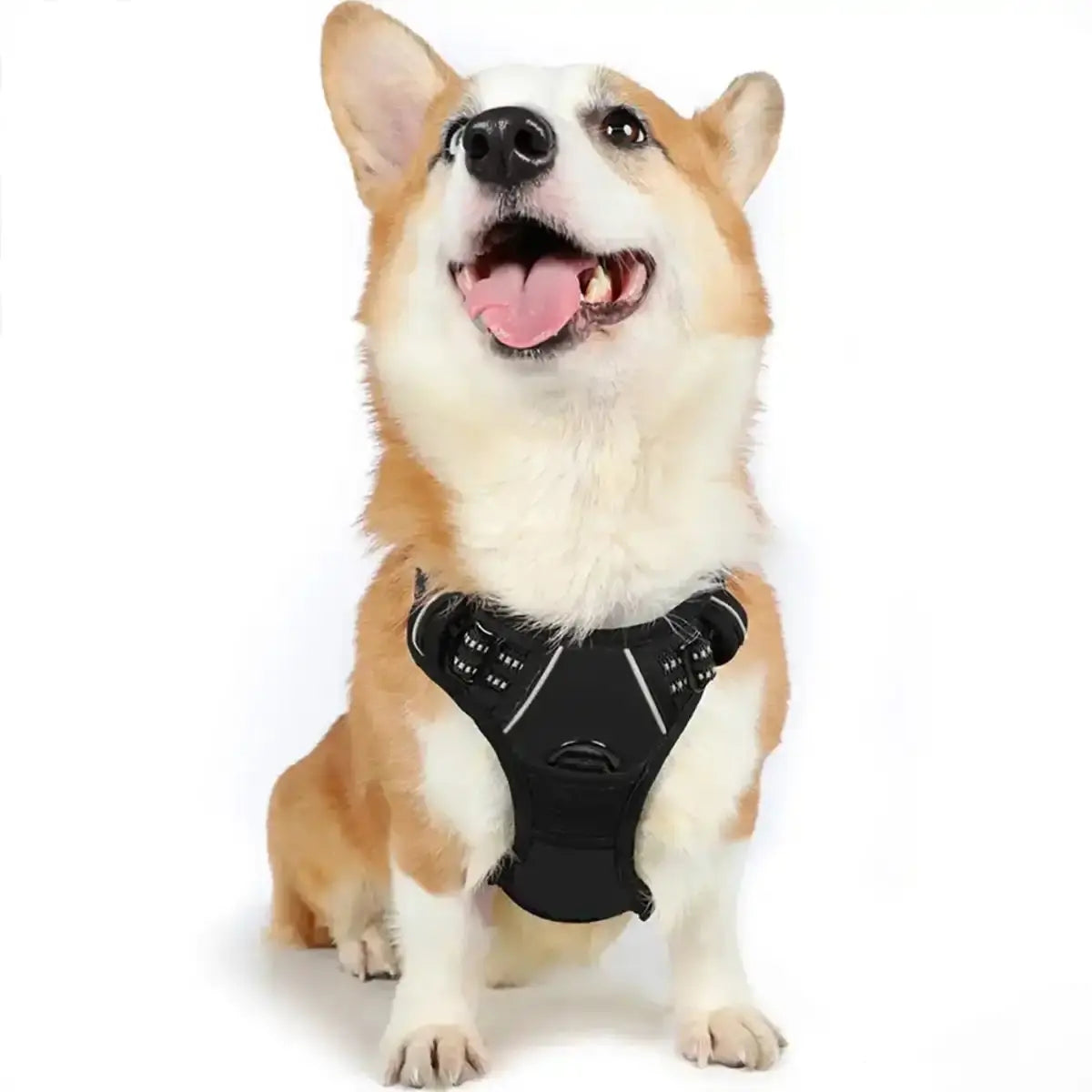 Dog Harness for Medium Dogs No Pull - Adjustable No Choke Vest Harness