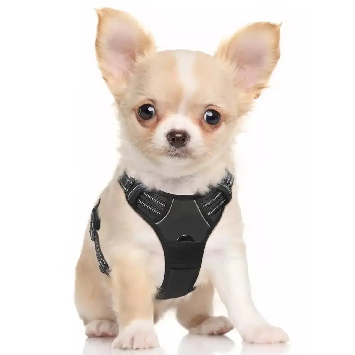 Dog Harness for Medium Dogs No Pull - Adjustable No Choke Vest Harness