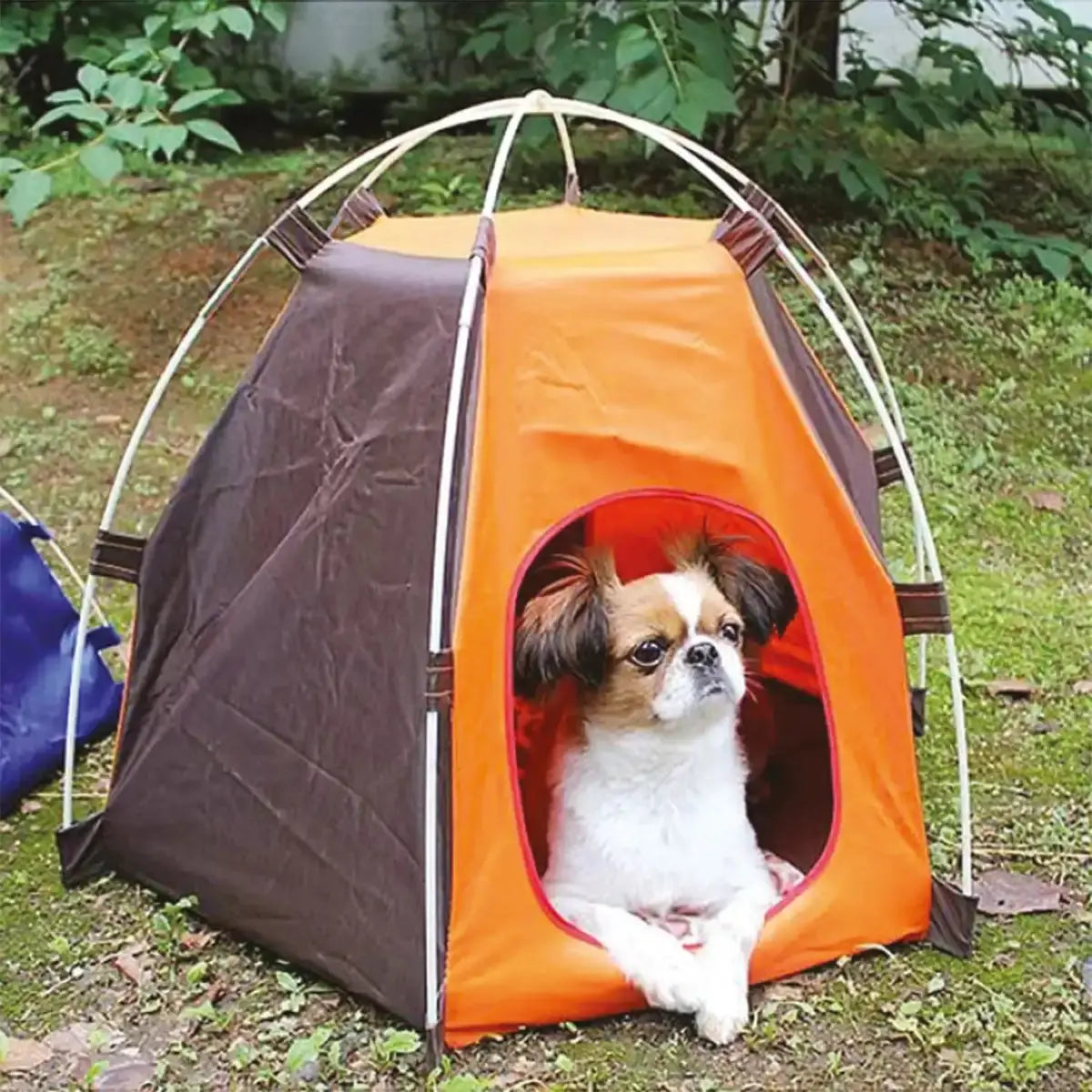 Foldable Pet Tent - Sun Protection Bed for Small & Medium Dogs | Indoor & Outdoor Use