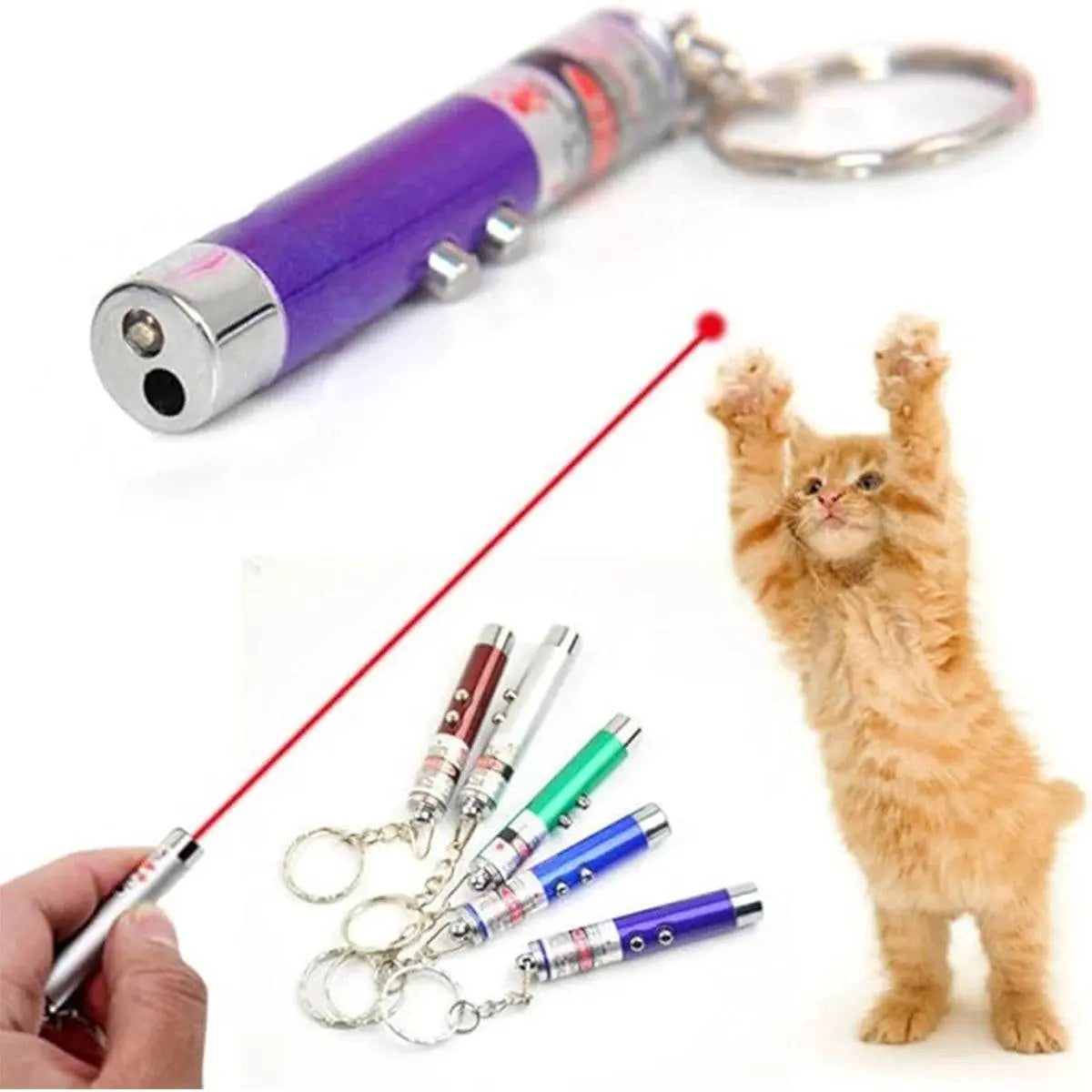 Best Interactive Cat Toys | 2-in-1 Laser Pointer & LED Light for Indoor Cats & Kittens