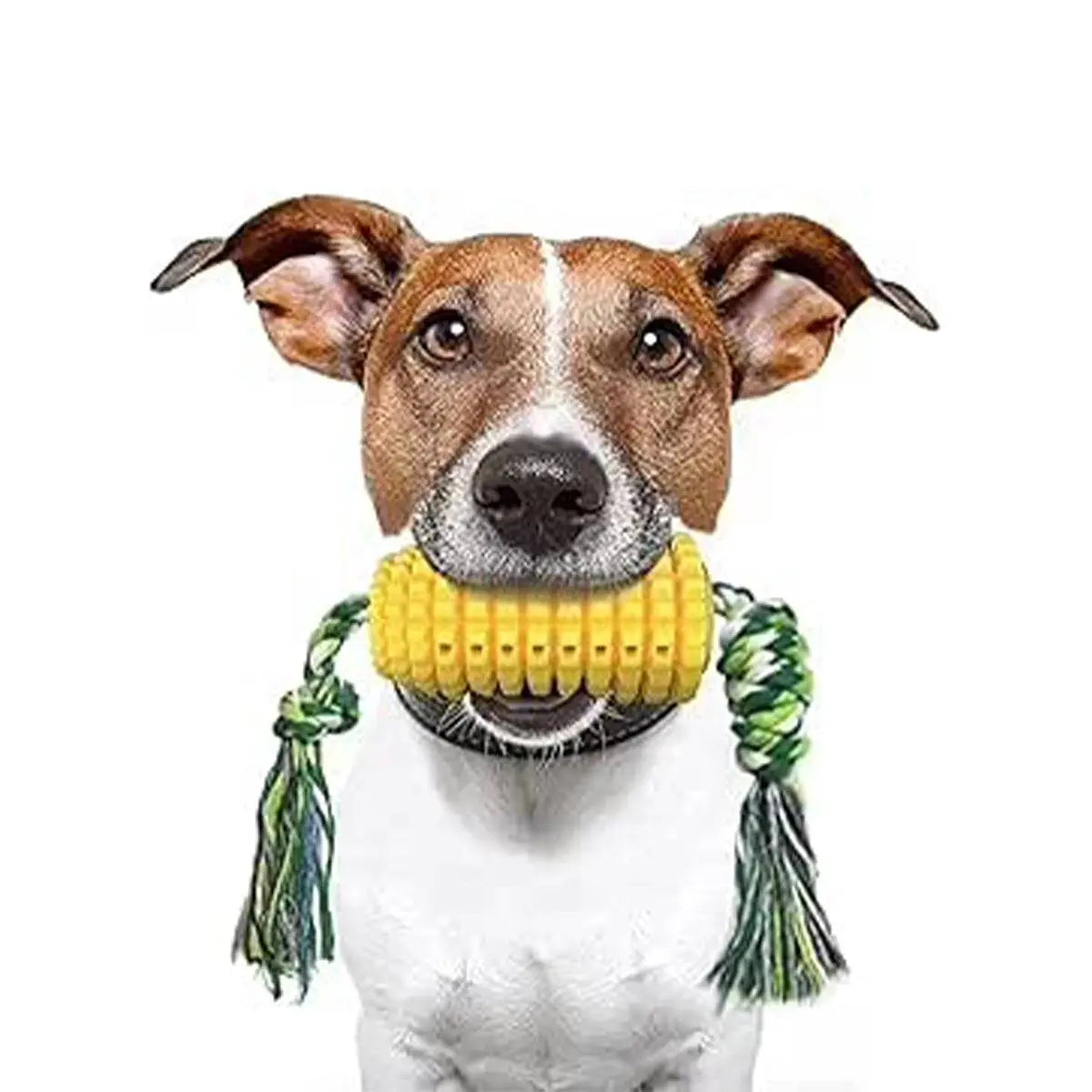 Durable Interactive Dog Toys for Aggressive Chewers | Corn Toothbrush Toy for All Breeds