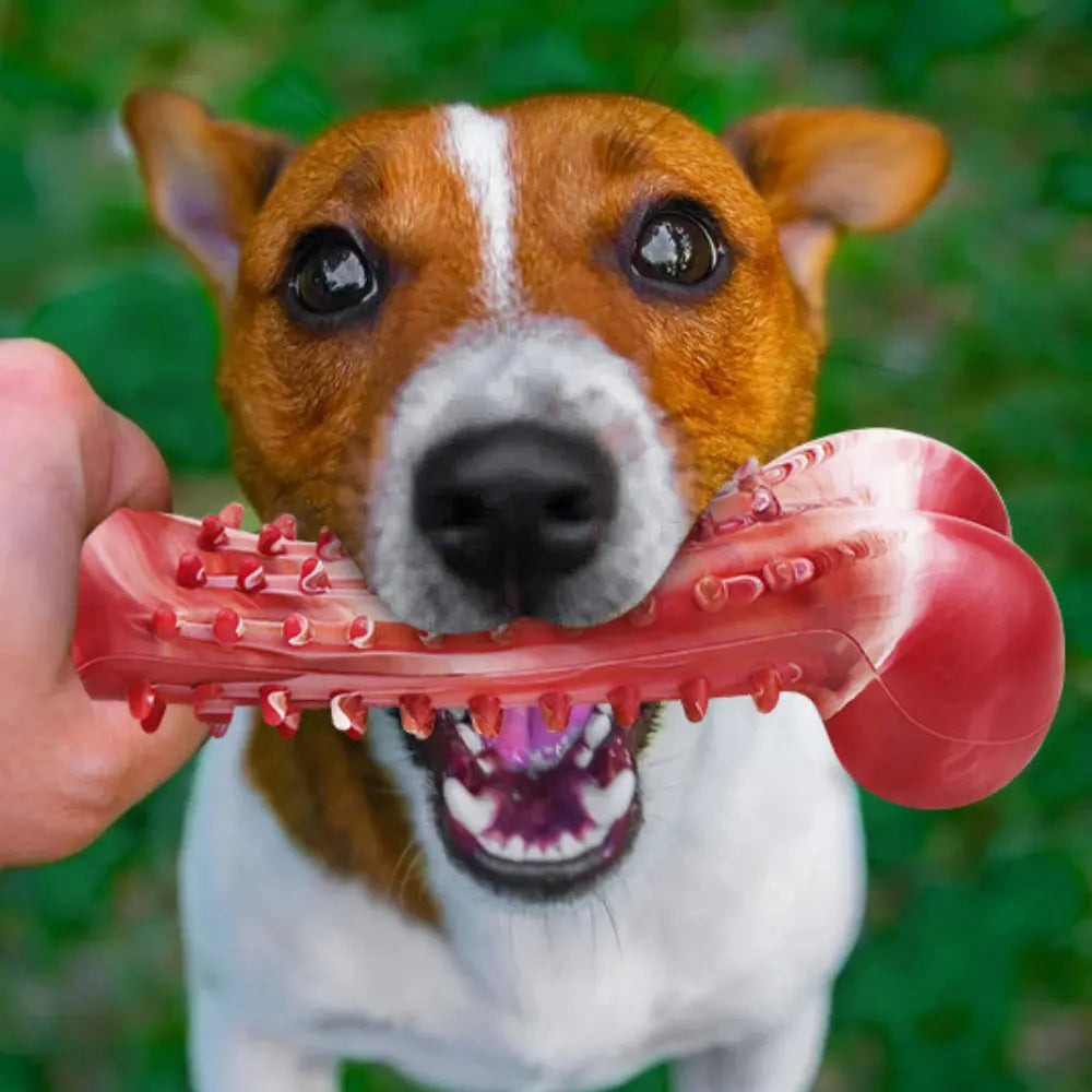 Indestructible Dog Chew Toys for Aggressive Chewers - Tough Bone for Large Breeds