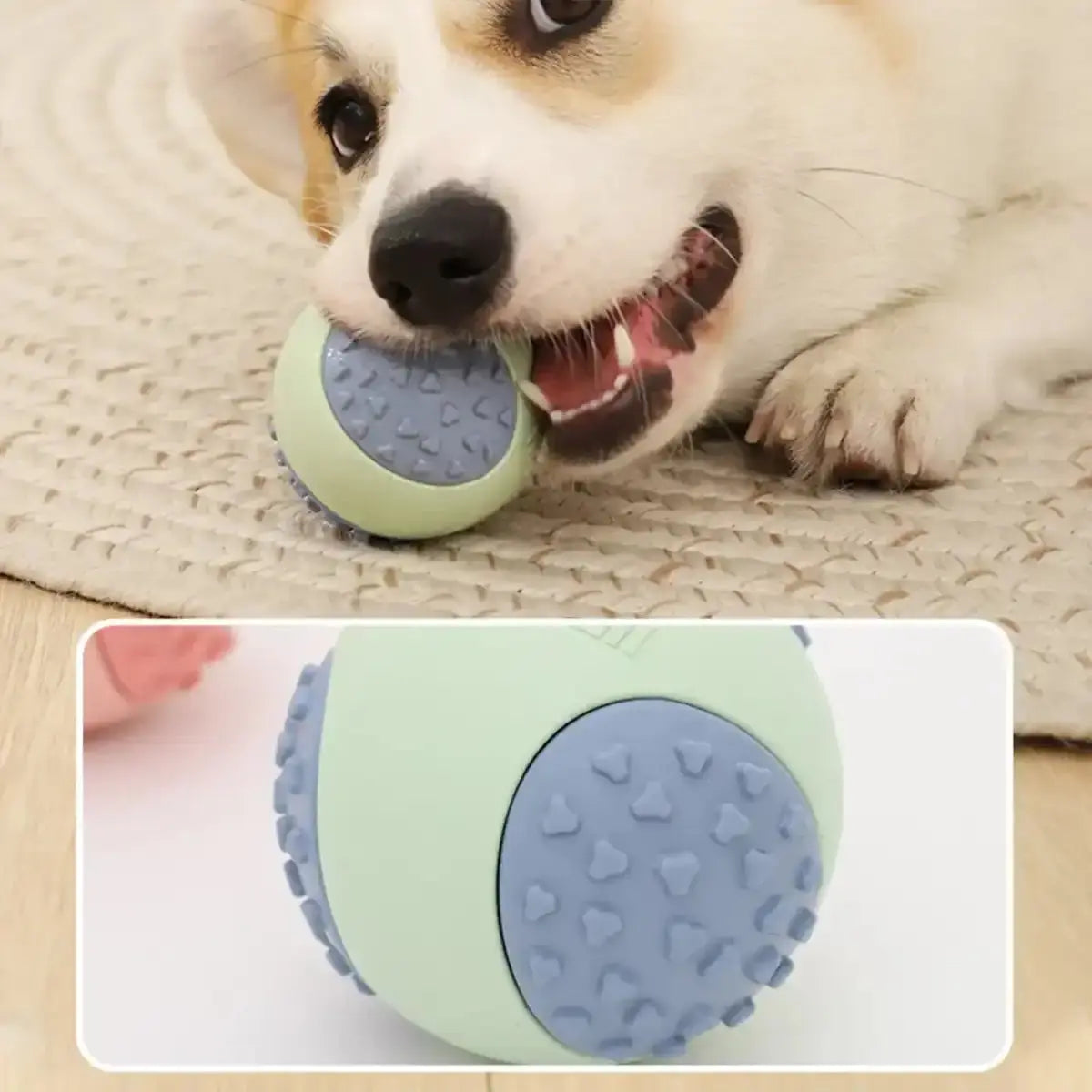 Interactive Pink & Green Rubber Ball Toy with Sound | Durable Pet Toy for Small and Medium Dogs