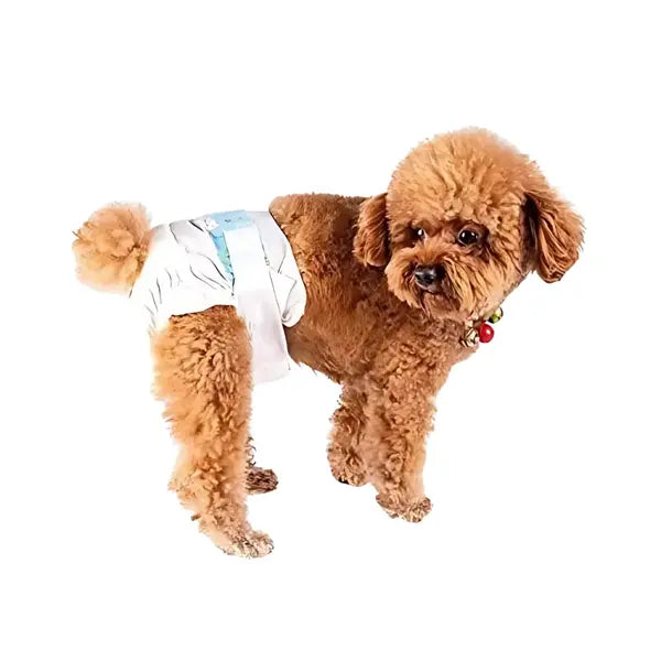 Leakproof Male Dog Diapers | Super Absorbent Disposable Diapers for Puppies & Senior Dogs Pet Daily Life