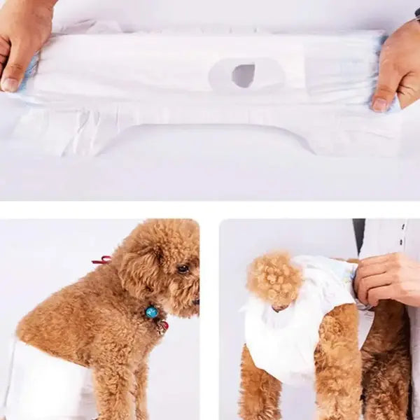 Leakproof Male Dog Diapers | Super Absorbent Disposable Diapers for Puppies & Senior Dogs