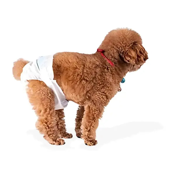 Leakproof Male Dog Diapers | Super Absorbent Disposable Diapers for Puppies & Senior Dogs