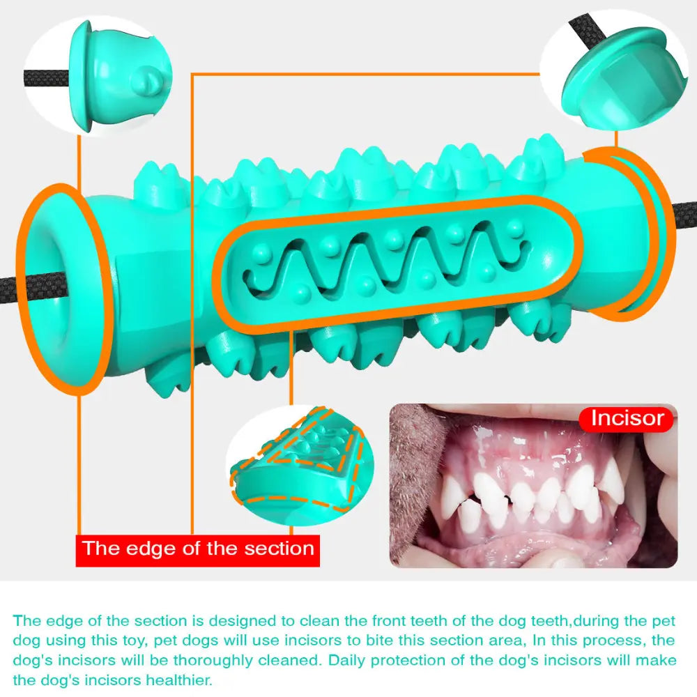 Molar Bite Dog Toy – Dental Care, Interactive Play & Food Dispenser