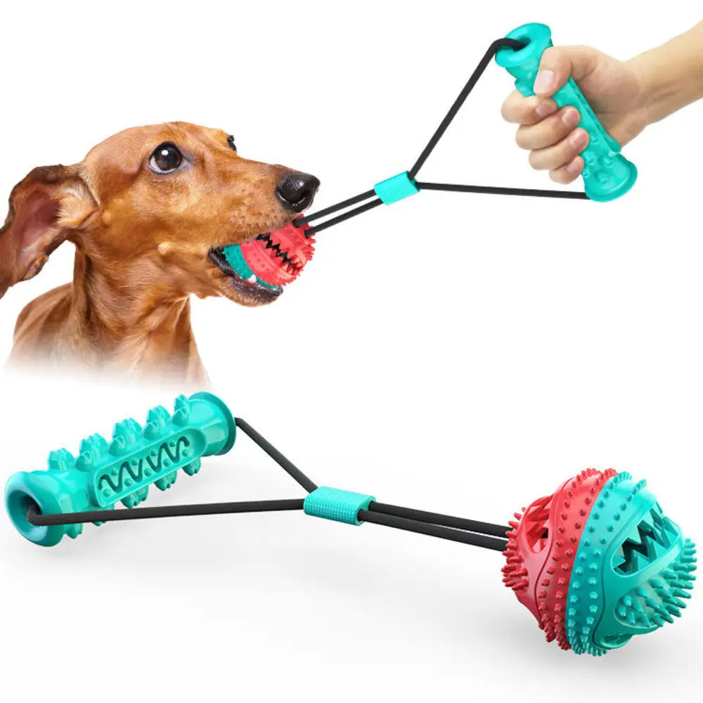 Molar Bite Dog Toy – Dental Care, Interactive Play & Food Dispenser Pet Daily Life