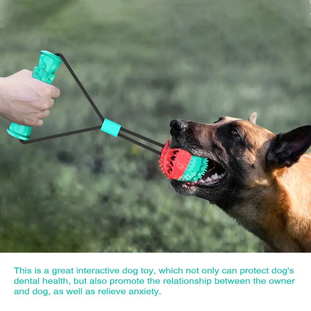 Molar Bite Dog Toy – Dental Care, Interactive Play & Food Dispenser