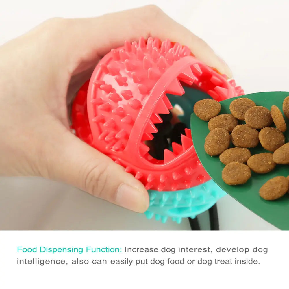 Molar Bite Dog Toy – Dental Care, Interactive Play & Food Dispenser