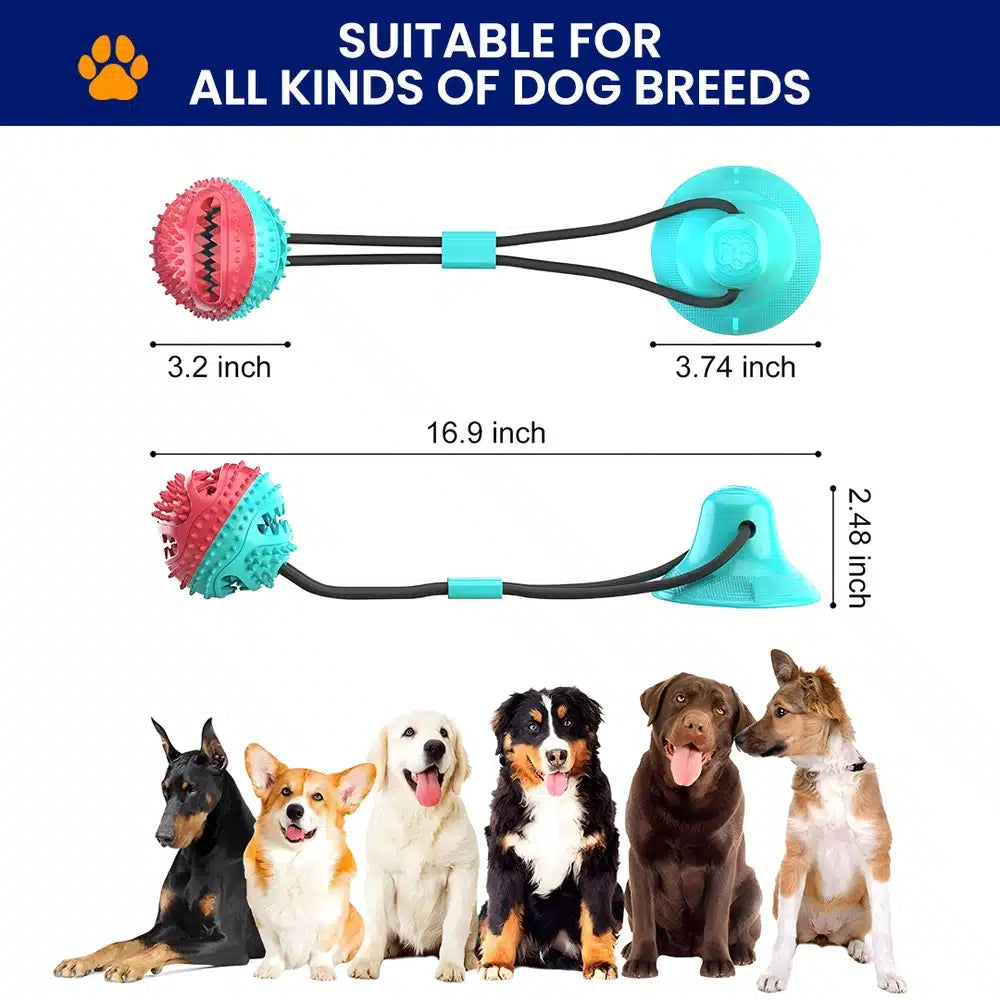 Rubber Suction Cup Dog Toy – 4-in-1 Chew & Interactive Toy