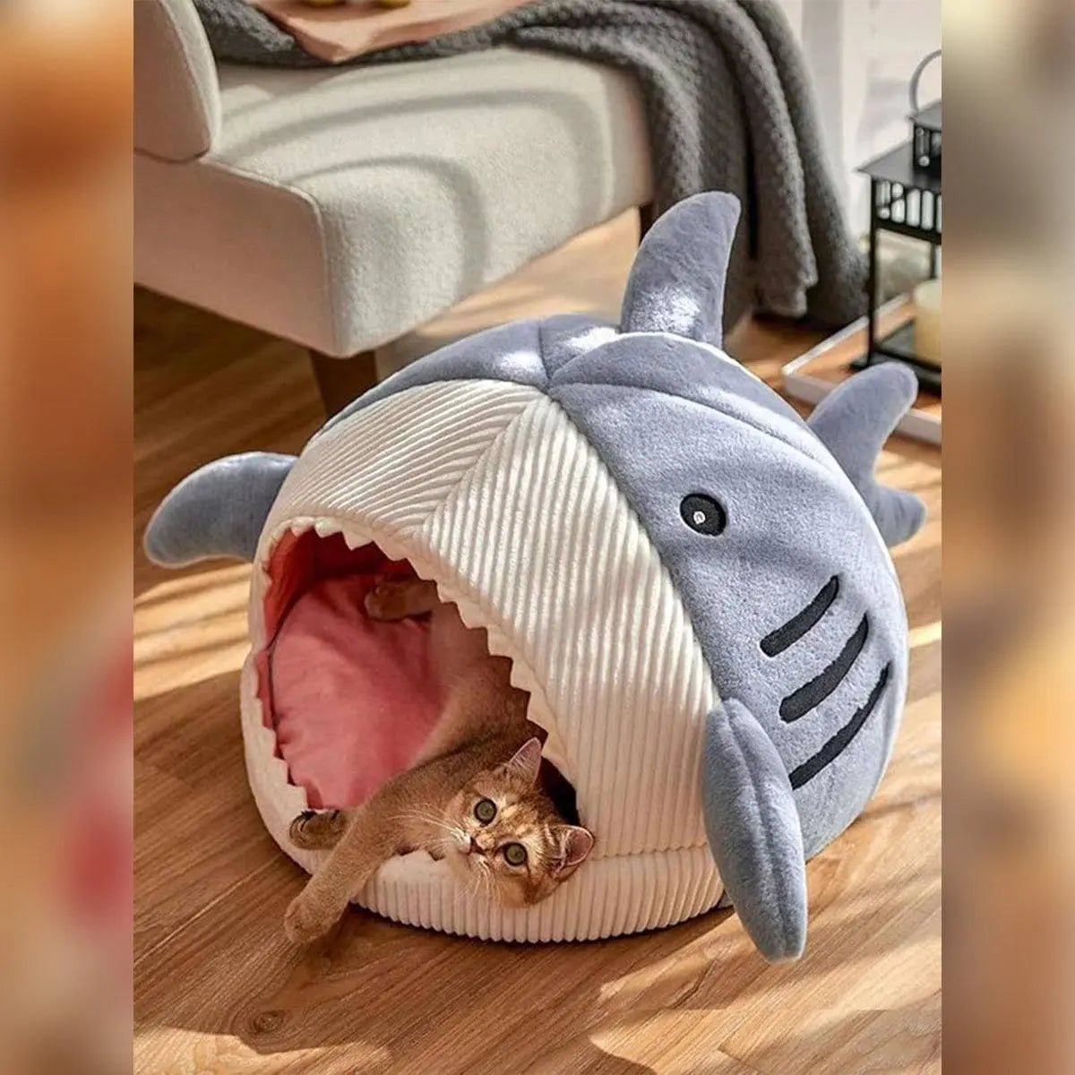 Shark Cat Bed: Cozy Pet Hideout for Kittens & Small Dogs – Best Indoor Pet Bed