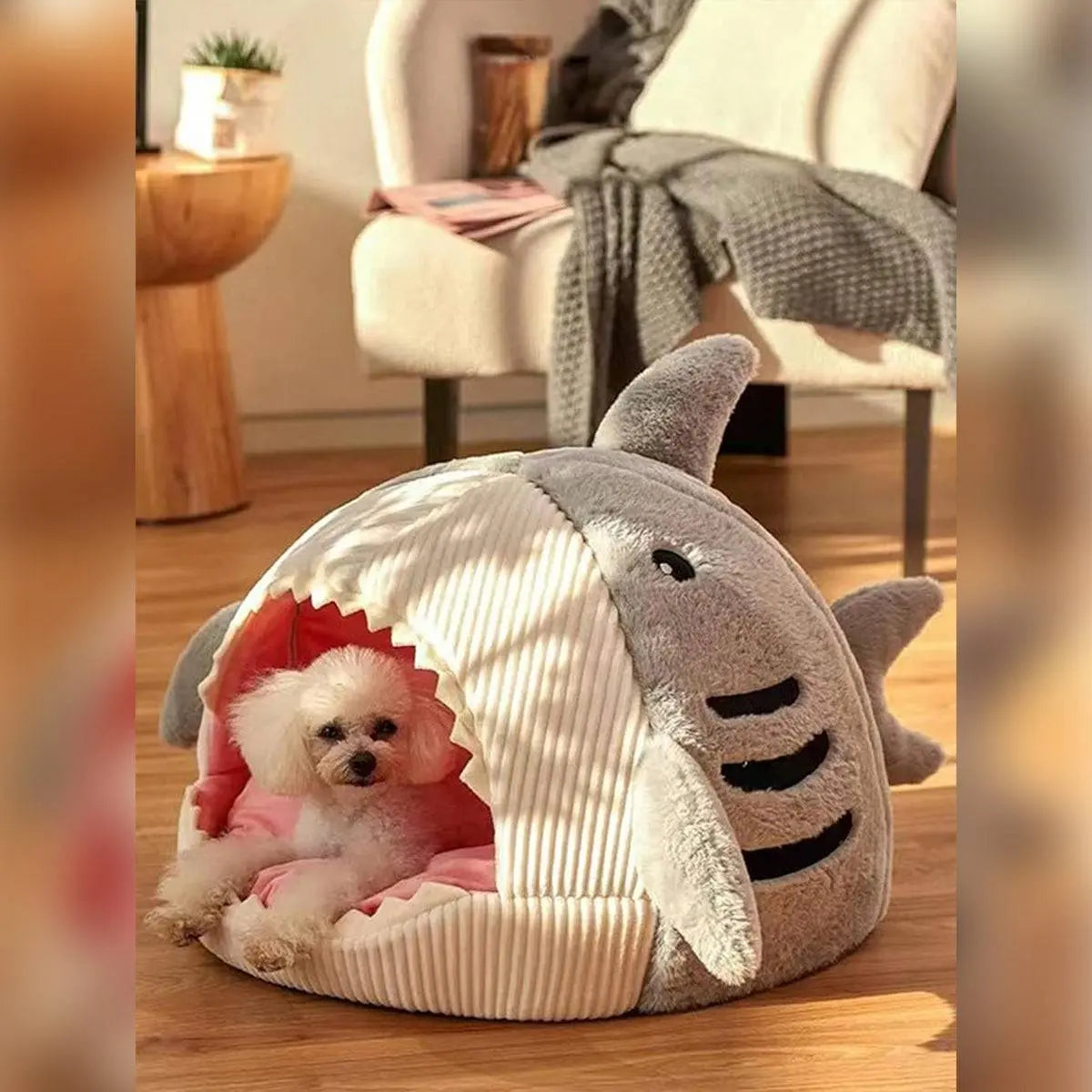 Shark Cat Bed: Cozy Pet Hideout for Kittens & Small Dogs – Best Indoor Pet Bed