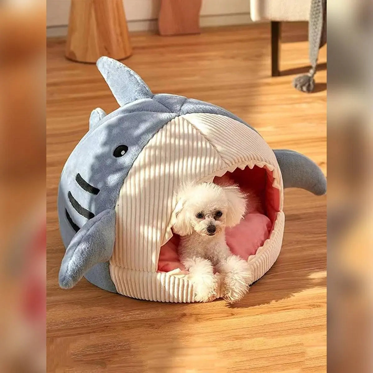 Shark Cat Bed: Cozy Pet Hideout for Kittens & Small Dogs – Best Indoor Pet Bed