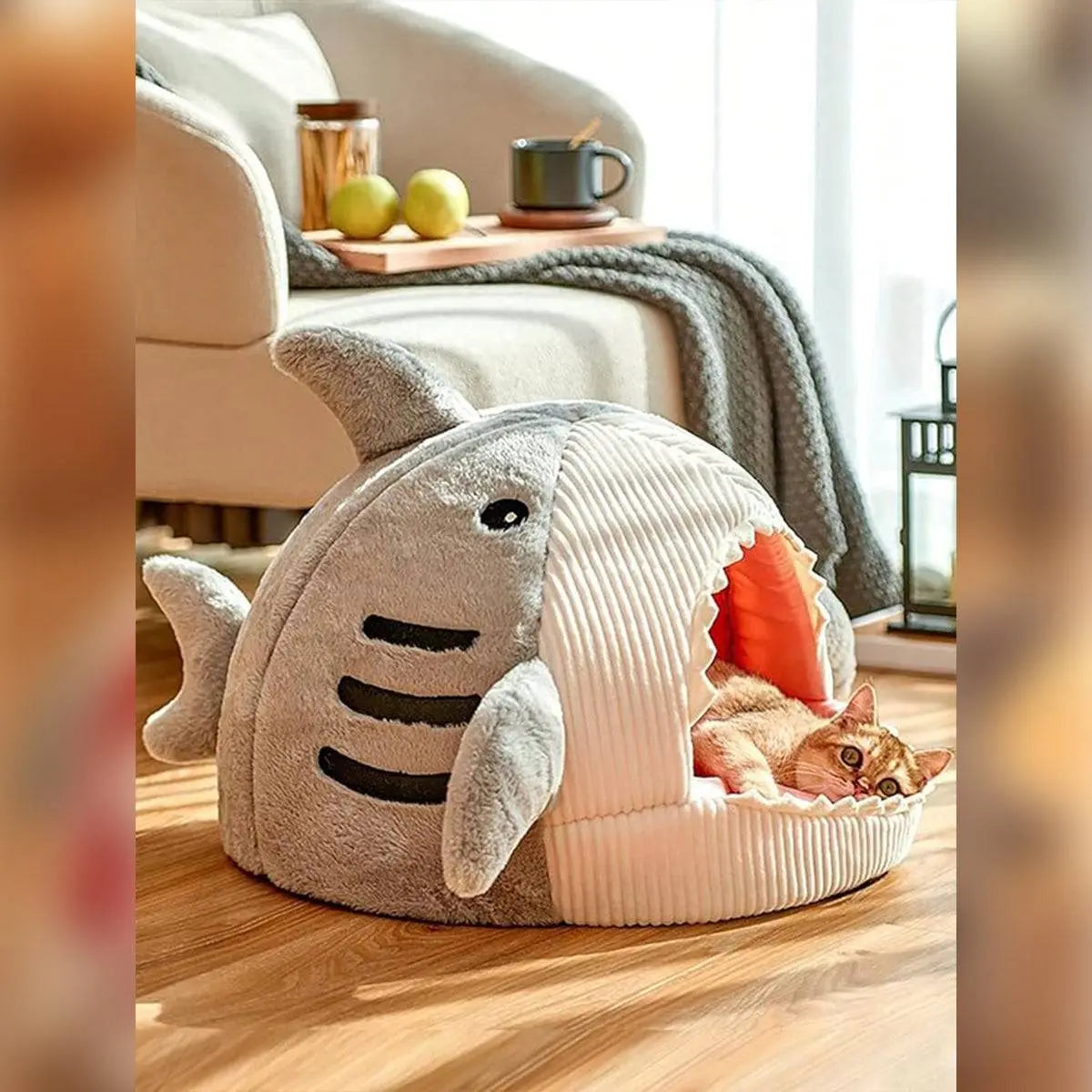 Shark Cat Bed: Cozy Pet Hideout for Kittens & Small Dogs – Best Indoor Pet Bed