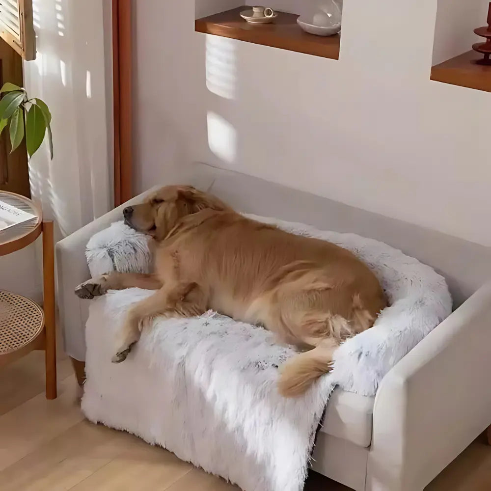 Sofa Protecting Pet Bed – Calming, Supportive, and Machine Washable