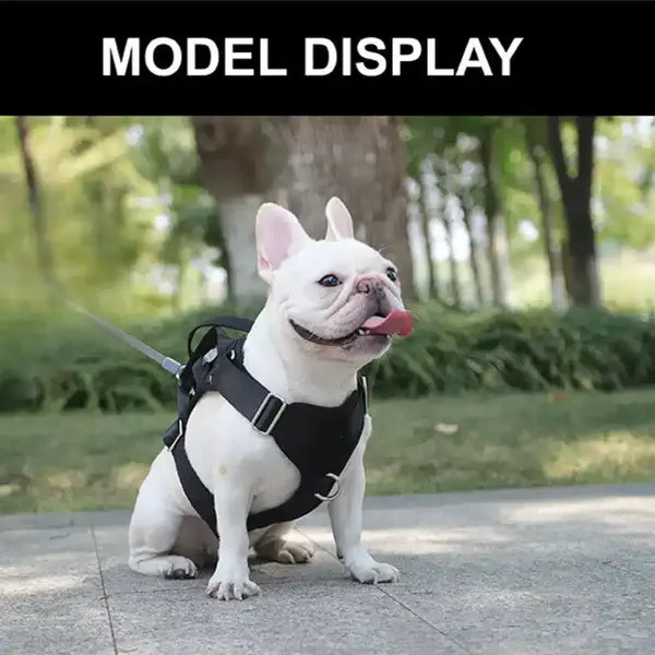 No Pull Dog Harness with LED Light | Adjustable Reflective Dog Vest for Night Walks