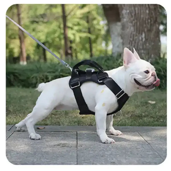 No Pull Dog Harness with LED Light | Adjustable Reflective Dog Vest for Night Walks