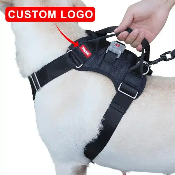 No Pull Dog Harness with LED Light | Adjustable Reflective Dog Vest for Night Walks